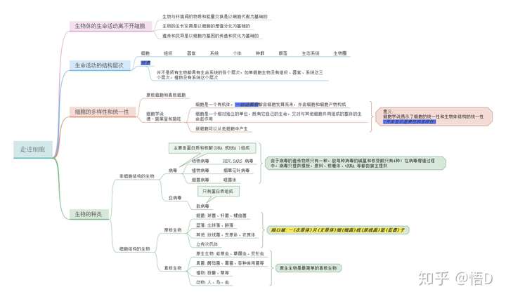 高中生物思维导图该怎么做?刚接触高中生物的小白真的