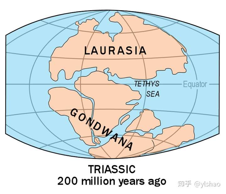 南部(后来的冈瓦纳大陆)的北缘出现一道裂谷,辛梅利亚大陆开始分裂,古