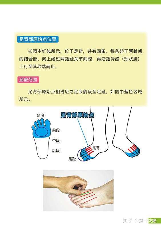 脚总冷是因为血液循环不畅通吗?