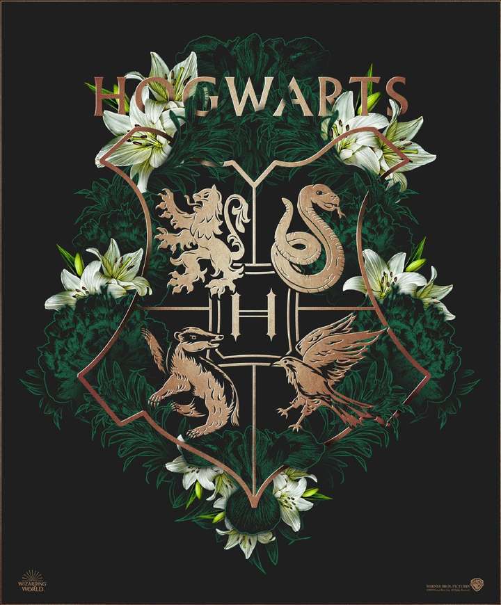 1.霍格沃茨校徽