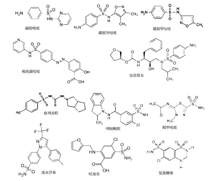 磺胺类药物致敏的作用机理是怎样的?