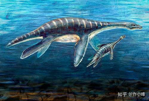 为什么水里的恐龙也会灭绝?