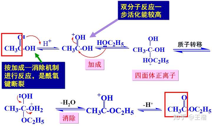 酯化存在三套机理,不管是加成-消除