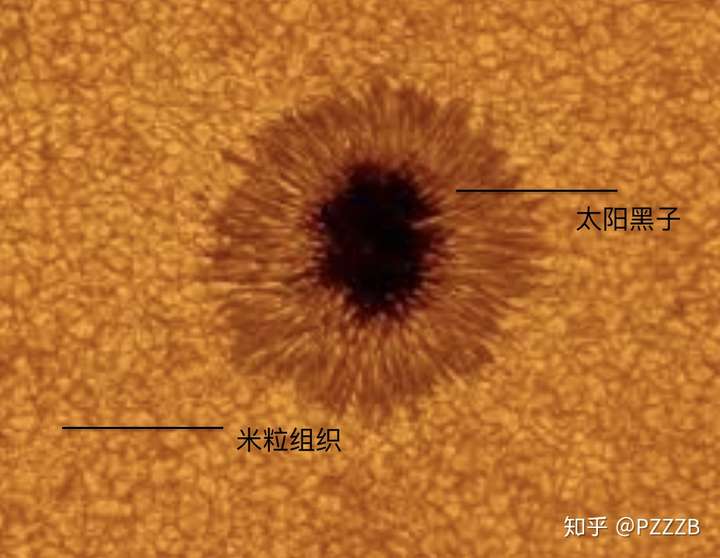 太阳黑子和米粒组织