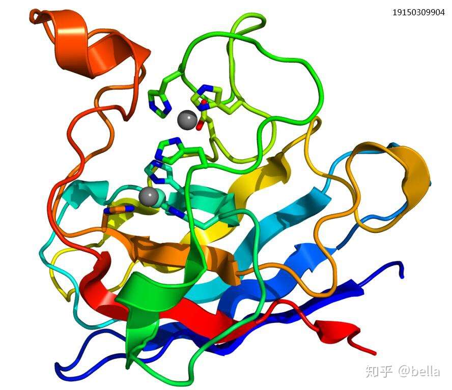 铜锌sod酶活性中心结构图