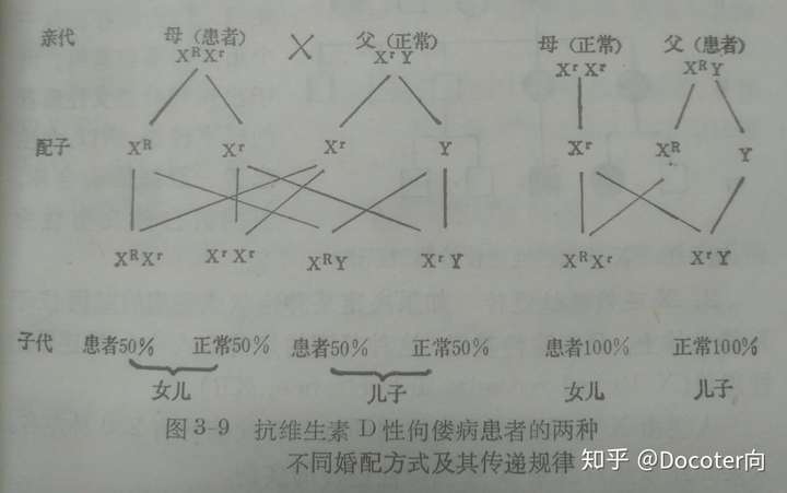 性染色体隐性遗传病和常染色体隐性遗传病在发病率上有什么区别?