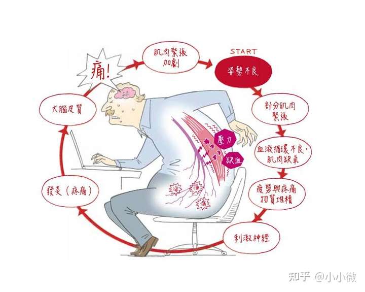 爸爸腰痛,在网上看了腰间盘突出护腰带,什么牌子好?