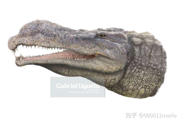地球上存在过"二次登陆"的生物类群吗?