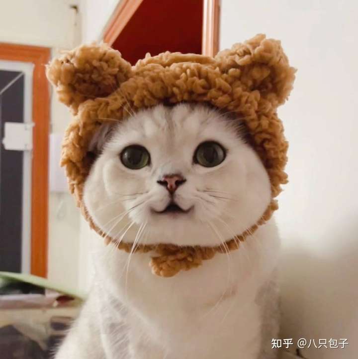 猫咪真的会笑吗?