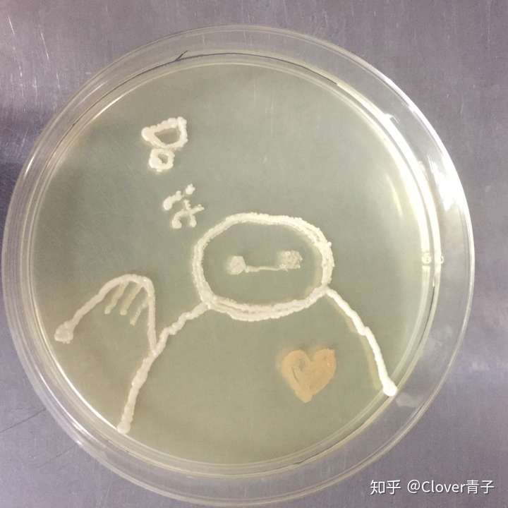 如果你的意识转移到了一个微生物上面,你要怎么做才能