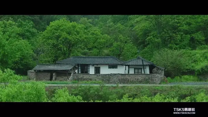 如何评价电影《小森林?