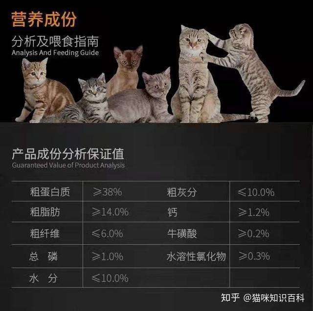 想问一下美短幼猫应该吃什么牌子的猫粮?