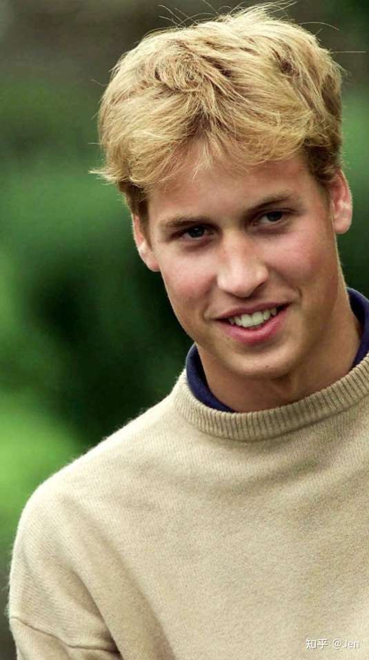 该说不说,有头发的威廉王子挺帅的