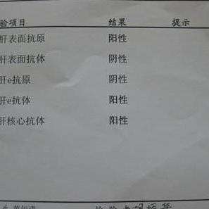 乙肝两对半
