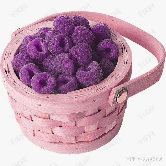 除了葡萄还有什么水果是紫色的