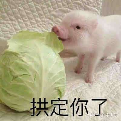表情包我骄傲