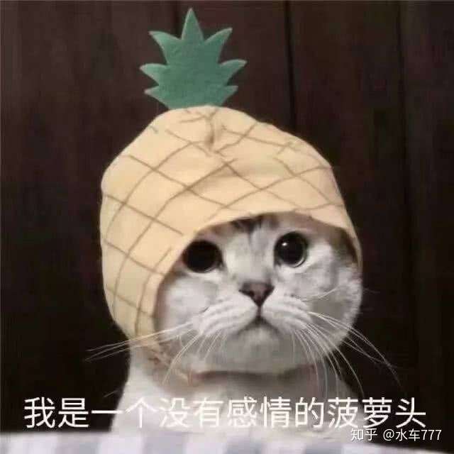 剧本杀菠萝头跟阿加莎的波洛有关系吗?