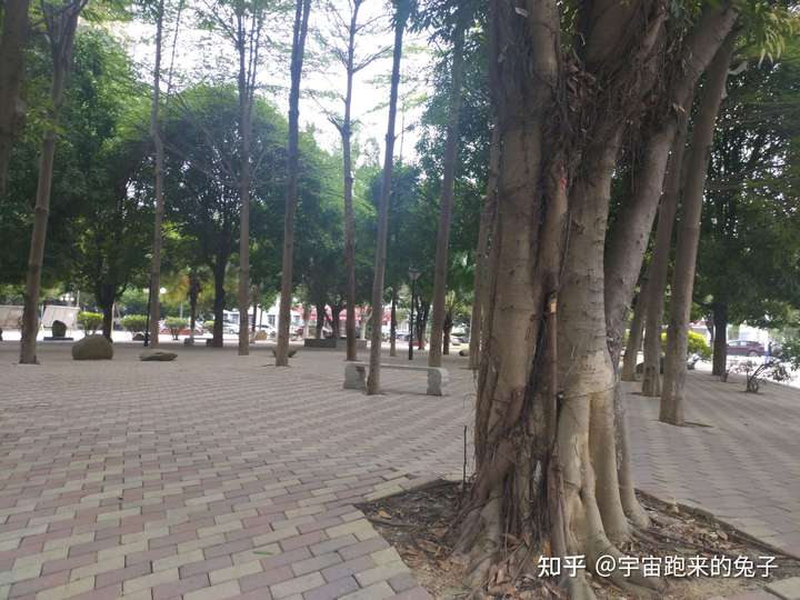 百色学院的校园环境如何