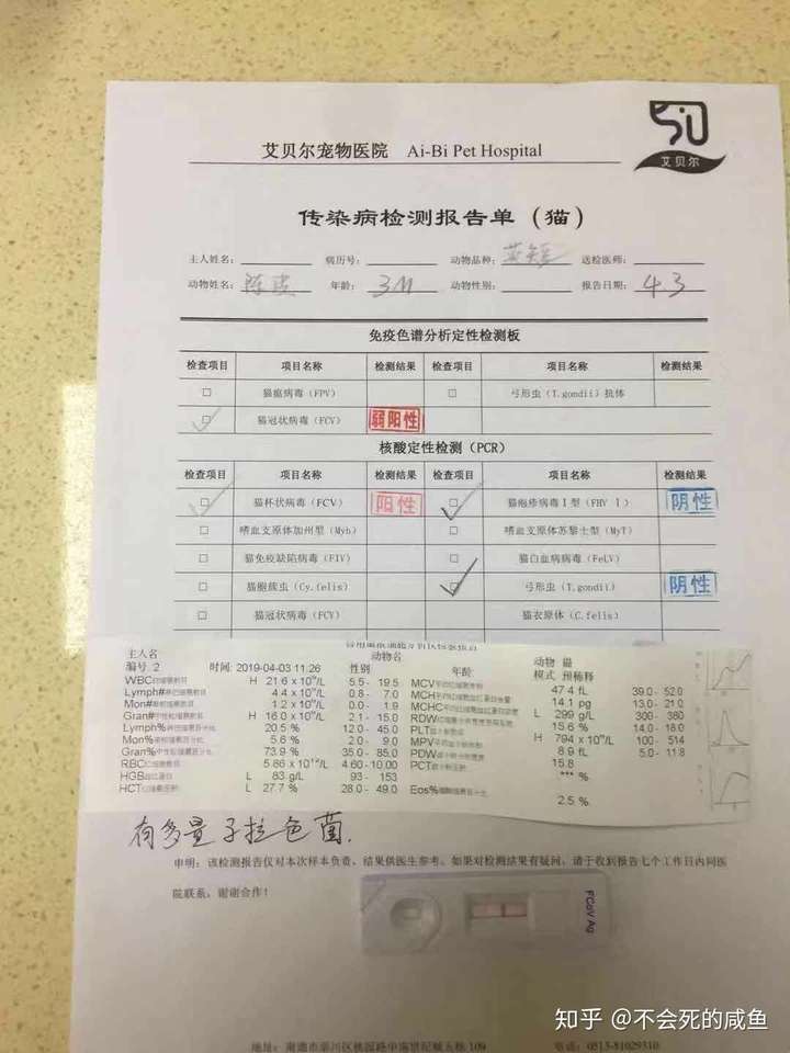 有杯状,和冠状弱阳性,当时看报告是没去查这个病,因为之前那只英短是
