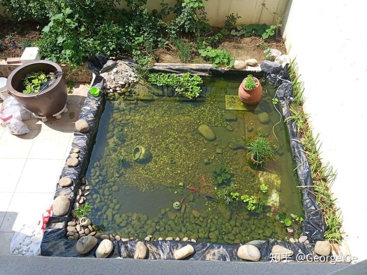 低成本建造一座庭院池塘