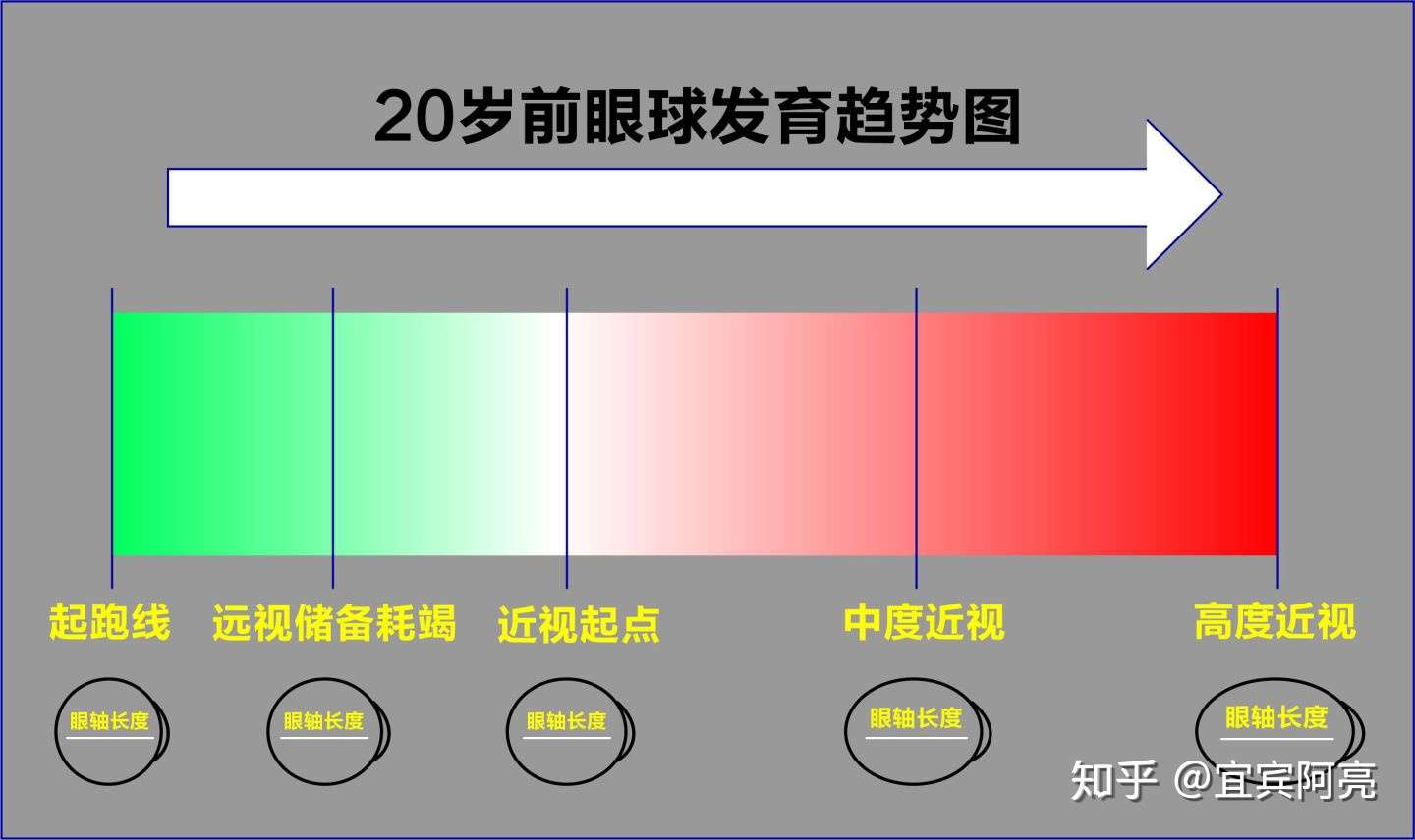 眼球的眼轴长度直接反应了孩子的眼球发育状态,长度越长,发育的越快