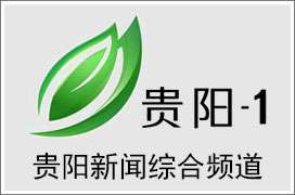 贵阳电视台广告怎么投放贵阳电视台广告价格