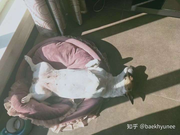 一个女生,睡姿却