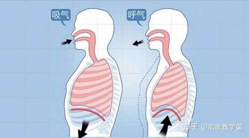 什么是科学发声发声都是靠声带振动为什么会有靠前靠后之说