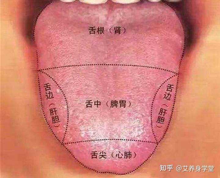 积食表现在舌头上是什么样子的?