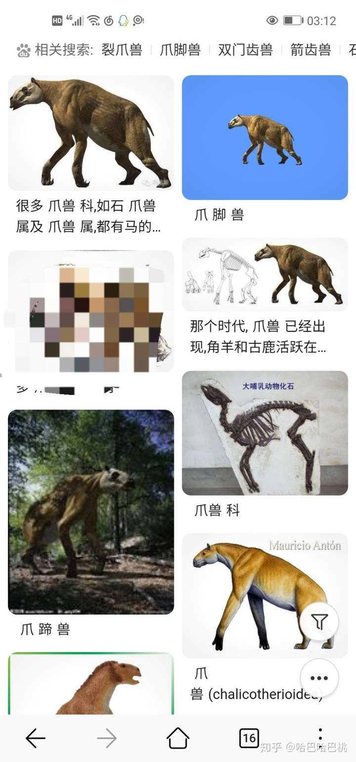 东北话里的大马猴是什么意思?