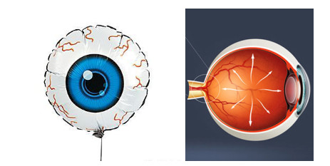 肯定是眼睛. 青光眼是导致人类失明的三大致盲眼病之一.