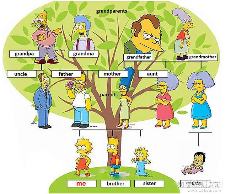 《辛普森一家》的家族树,学霸lisa的作业.图片来自网络,侵删