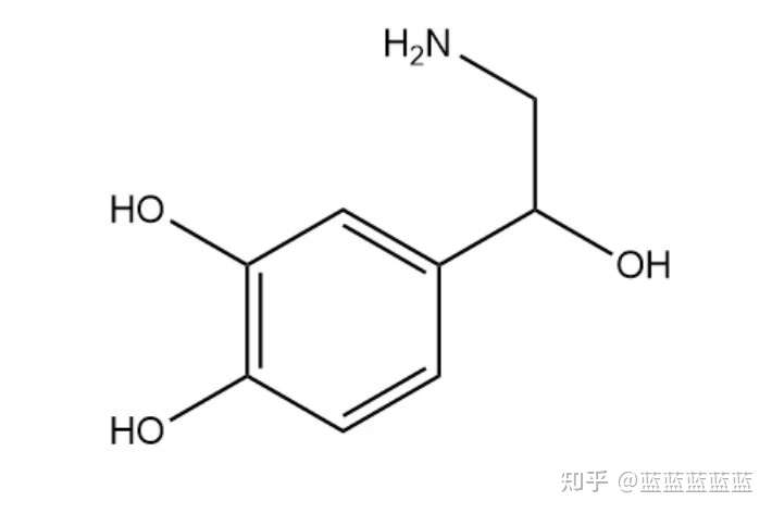 为什么去甲肾上腺素英文前面加nor?