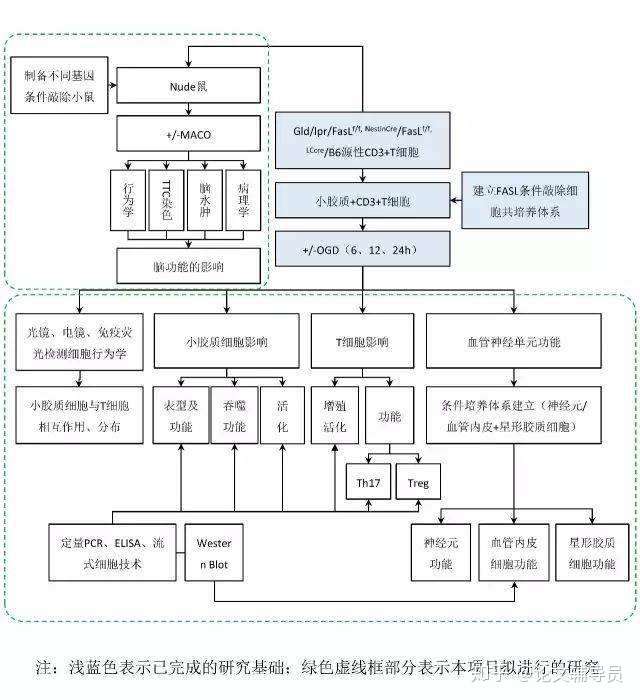 本科硕士毕业论文技术路线图画法及注意事项