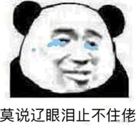 有没有表达谢意又可爱的表情包?
