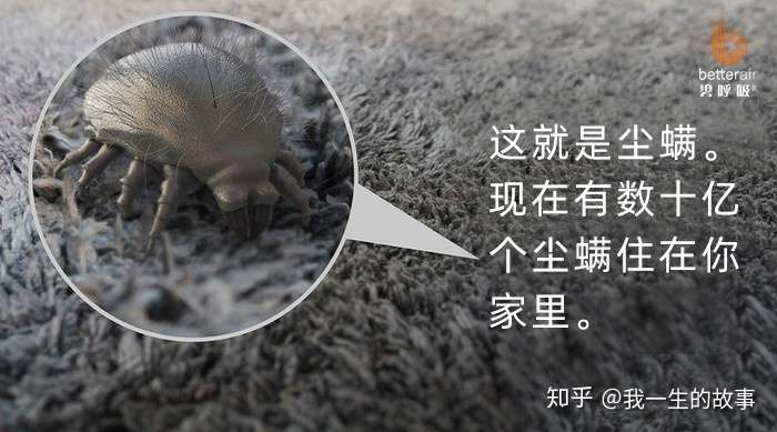 我曾经了解过一款净化器 叫碧呼吸,对消除室内过敏原是有帮助的,利用