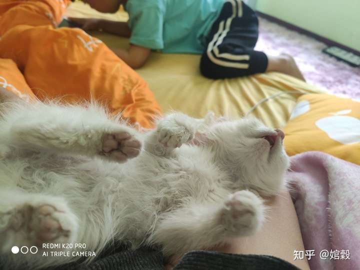 像个小女生一样 最喜欢他这样睡 深情的眼神 睡熟了就各种姿势 越来越