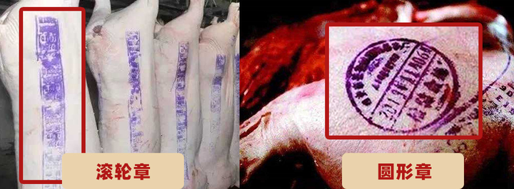 猪肉皮上的印章对人有害吗?