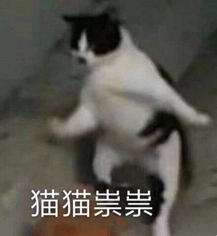 你们有哪些表达好自己心情的表情包?