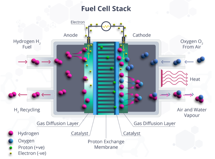 燃料电池堆显示了电化学过程中催化剂的使用