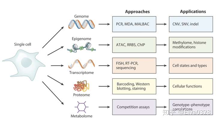 单细胞测序技术01背景平台及原理