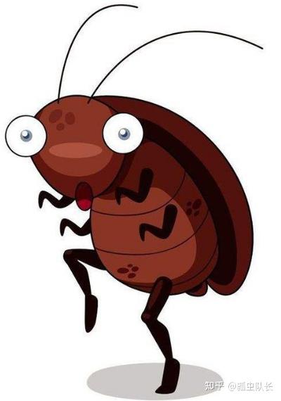 家里一直有蟑螂怎么办能除根吗?