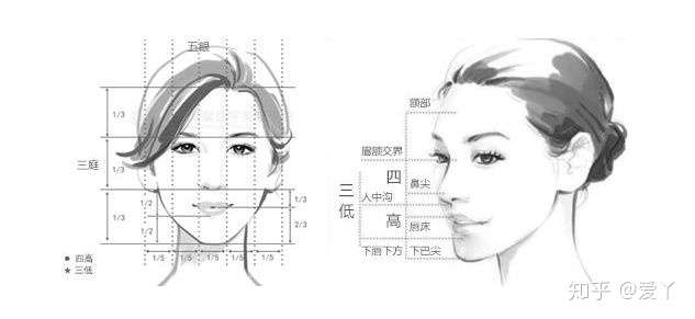 因为每个人的五官不同,有的人五官很精致,符合审美标准:三庭五眼,四
