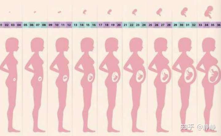 孕期身体发生了哪些变化你中招了没