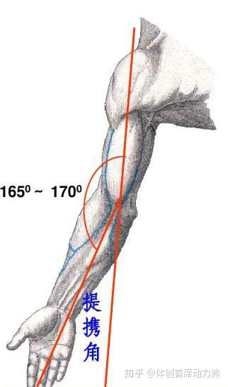 肘关节过伸跟外翻有什么区别?