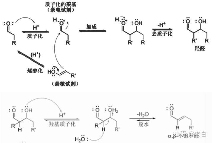 羟醛缩合是什么反应类型