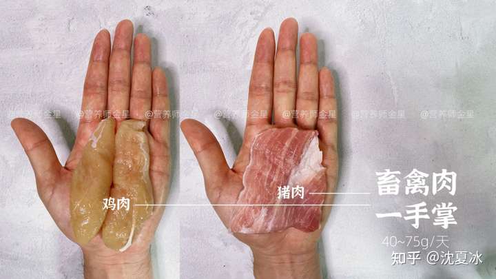 减脂期间每天吃多少肉瘦肉合适呢