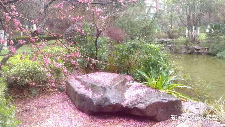 老刀：谁欠李文亮一晚霓虹相送？【封城笔记】