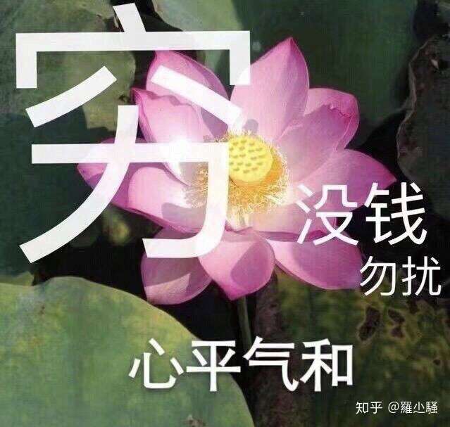 有没有很土或者特别的微信头像和签名看到第一眼就不想加的那种?