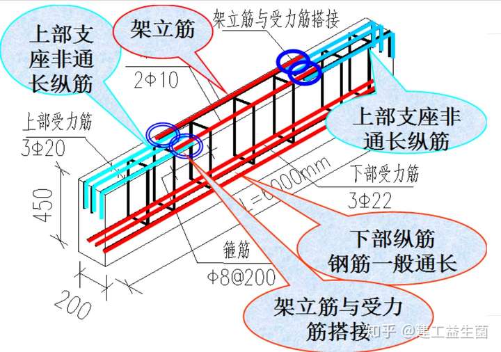 241页钢筋识图与算量实战讲义,7天全面掌握!